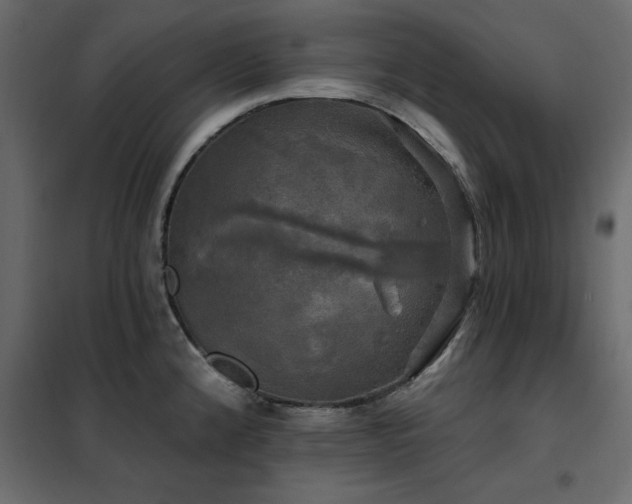 X0000102491192200808081321