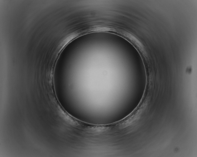 X0000102491193200808081321
