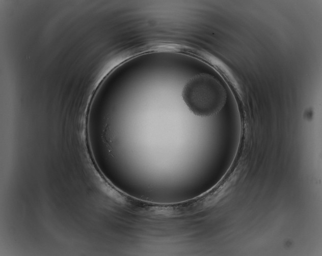 X0000102491194200808081321