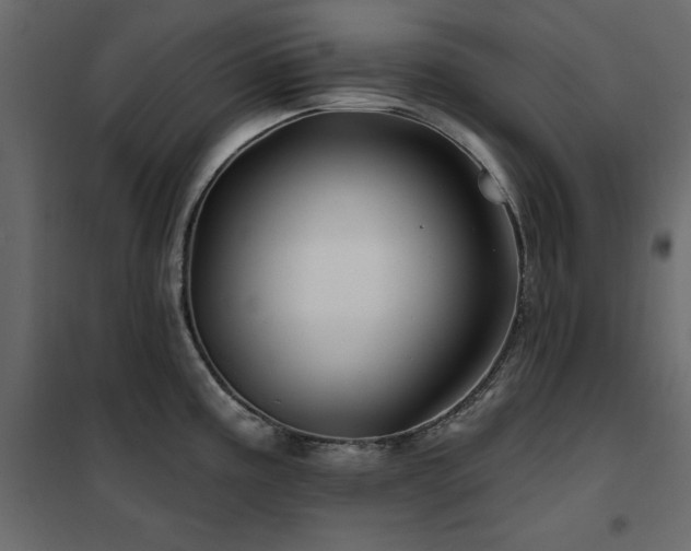 X0000102491195200808081321