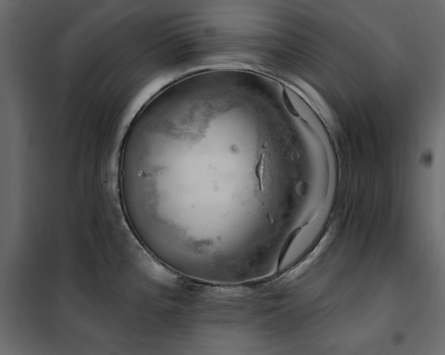 X0000102491196200808081321