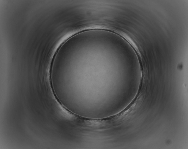 X0000102491197200808081321