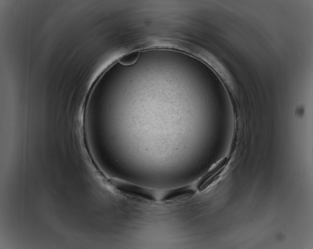 X0000102491198200808081321