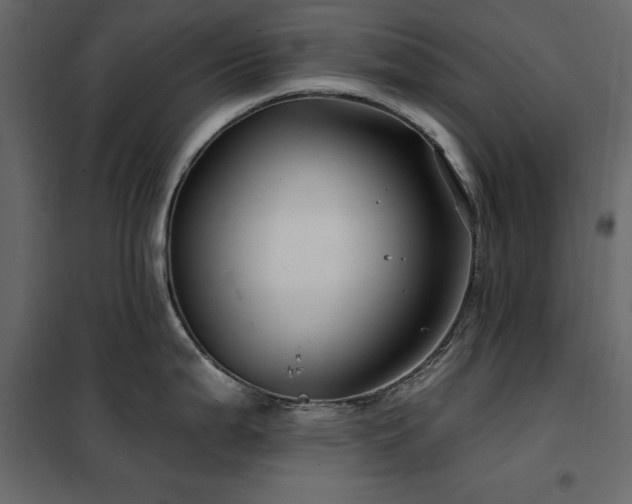 X0000102491199200808081321