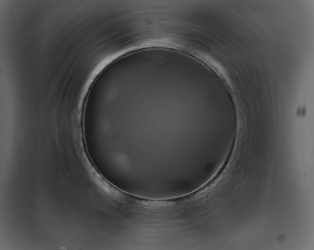X0000102491200200808081321