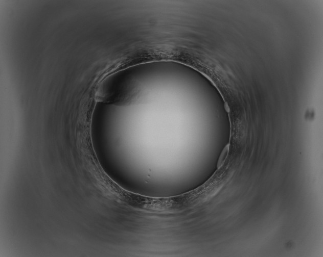 X0000102491201200808081320