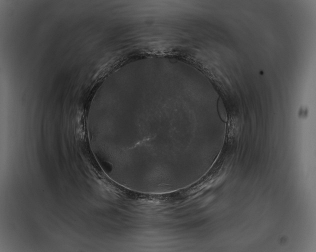 X0000102491202200808081320
