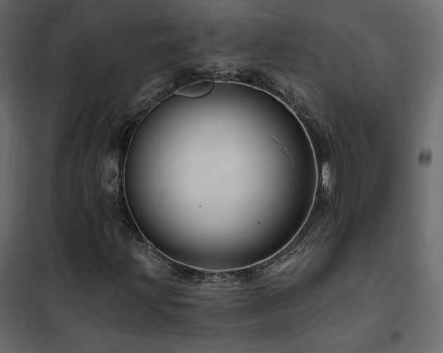 X0000102491203200808081320