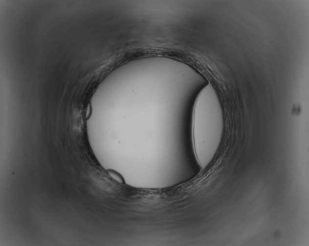 X0000102491204200808081320