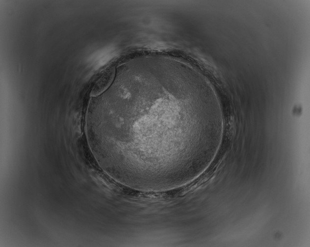 X0000102491205200808081321