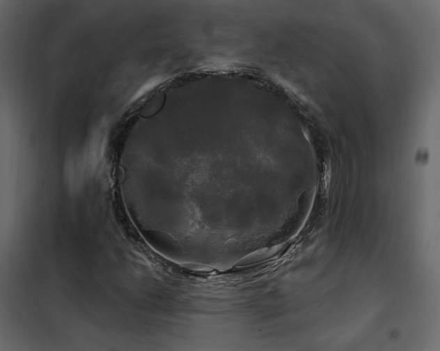 X0000102491206200808081321