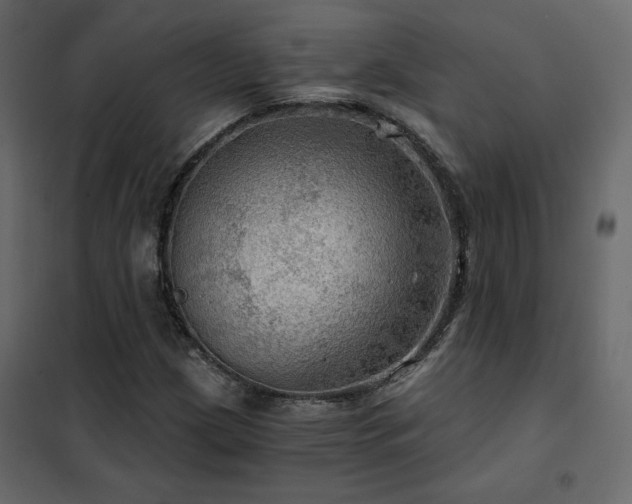 X0000102491209200808081321