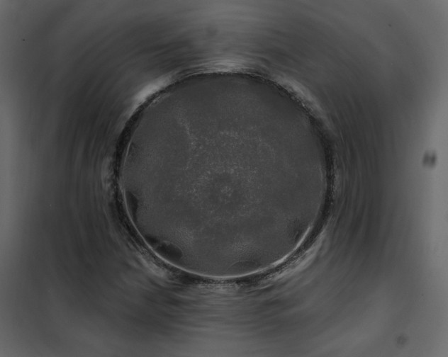 X0000102491210200808081321