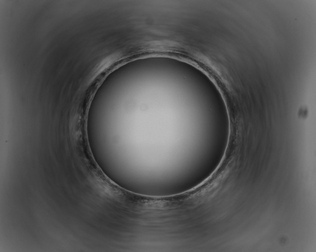 X0000102491211200808081321