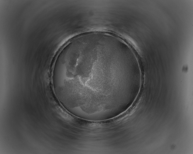 X0000102491212200808081321