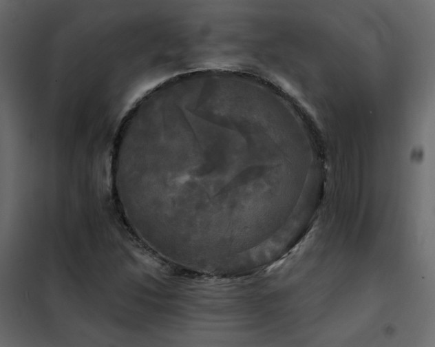 X0000102491214200808081321