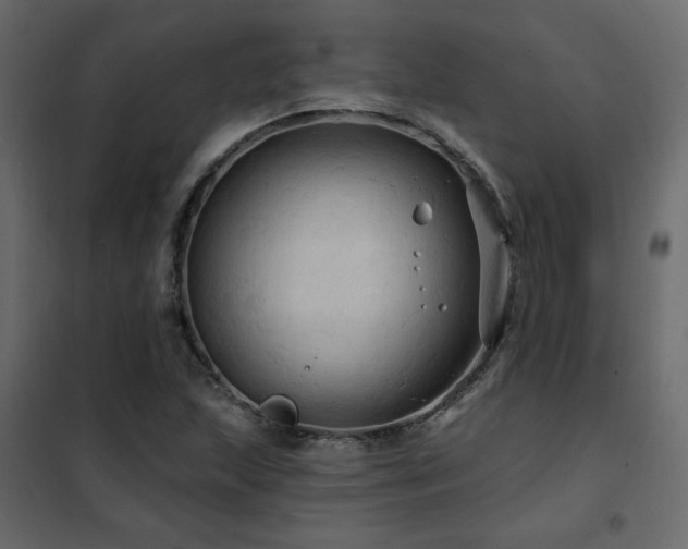 X0000102491215200808081321