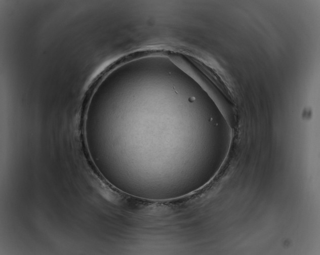 X0000102491216200808081321
