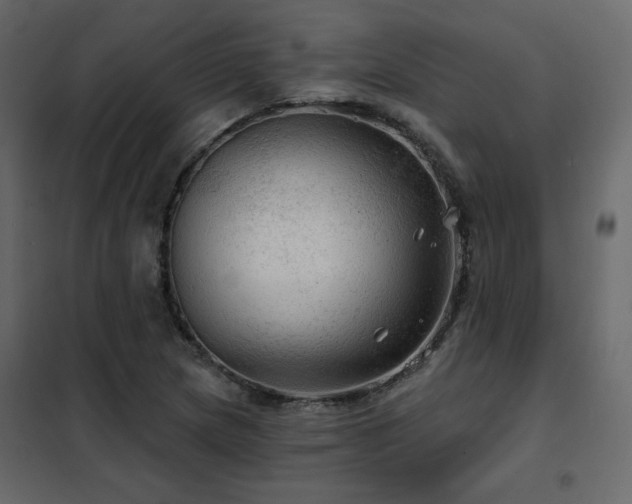 X0000102491217200808081321
