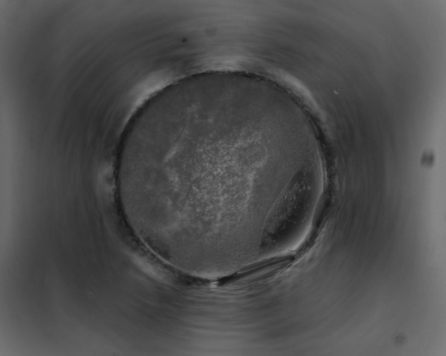 X0000102491218200808081321