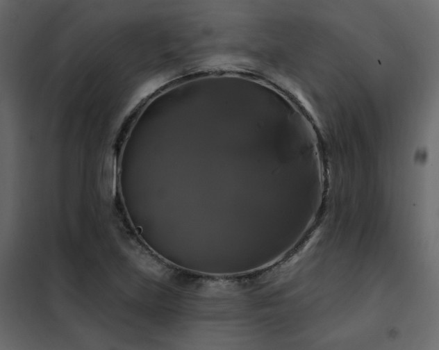 X0000102491219200808081321