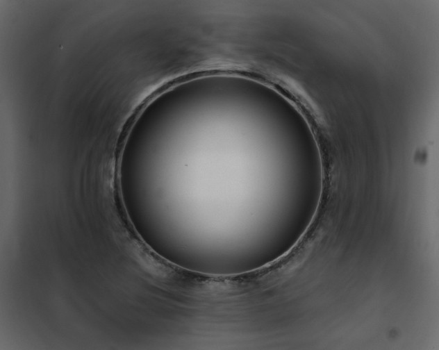 X0000102491220200808081321
