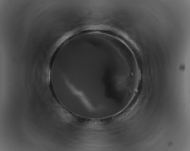 X0000102491221200808081321