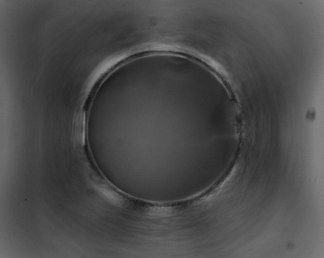 X0000102491223200808081321