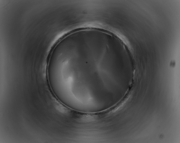 X0000102491224200808081321