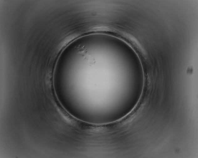 X0000102491225200808081321