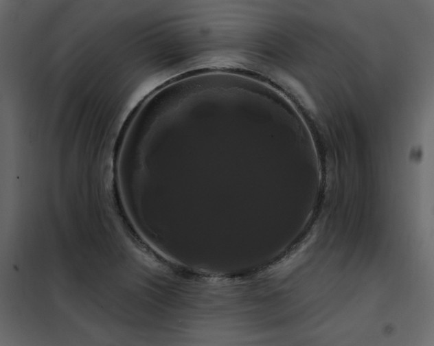 X0000102491226200808081321