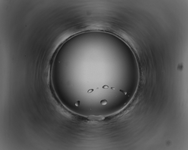 X0000102491227200808081321