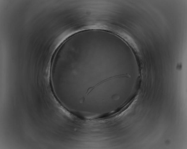 X0000102491228200808081321