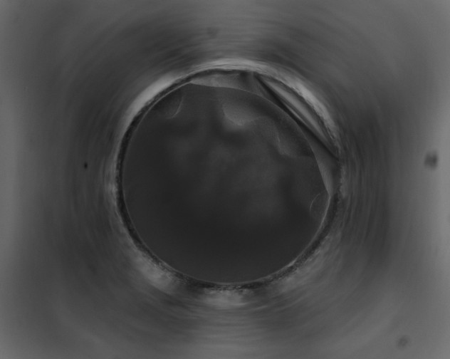 X0000102491229200808081321