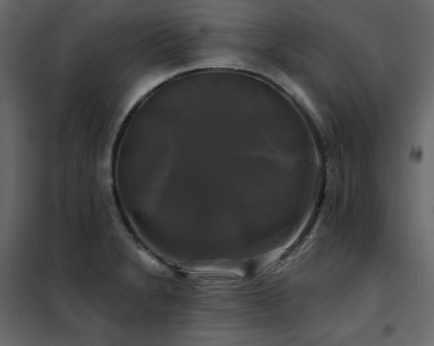 X0000102491230200808081321