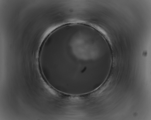 X0000102491231200808081321