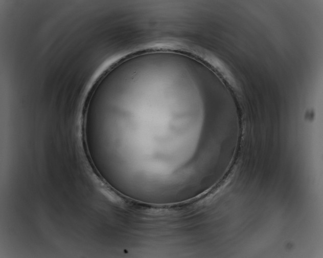 X0000102491232200808081321