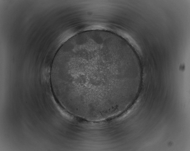 X0000102491233200808081321