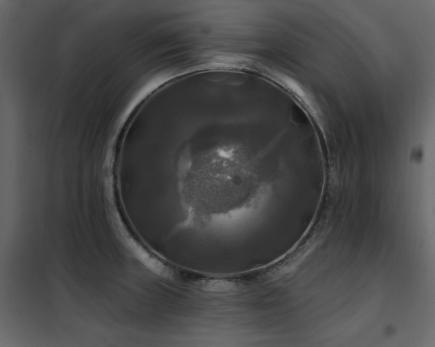 X0000102491235200808081321