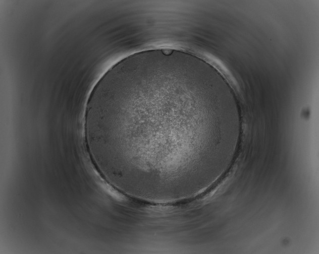 X0000102491236200808081321