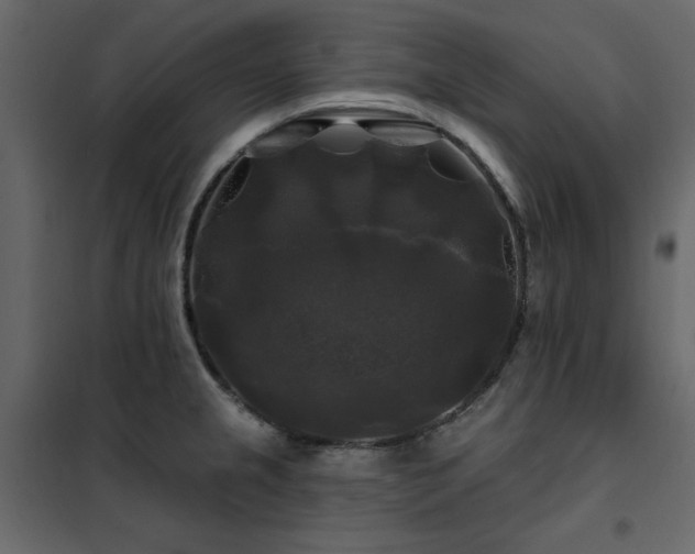 X0000102491237200808081321