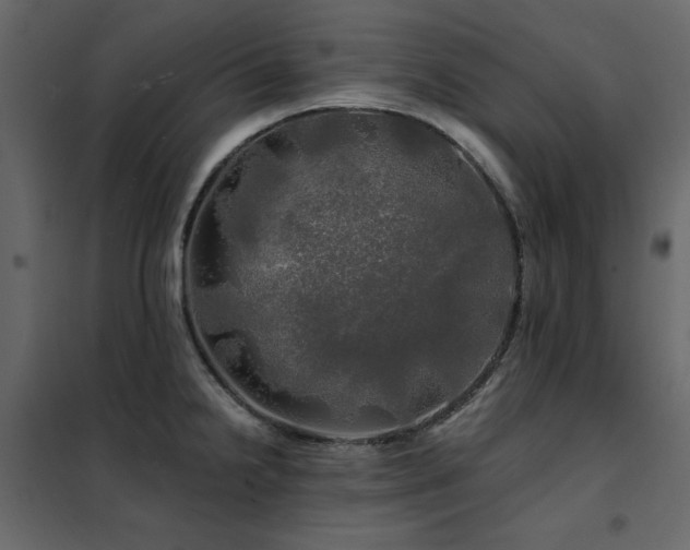 X0000102491238200808081321