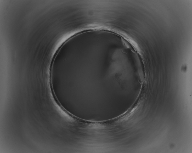 X0000102491239200808081321