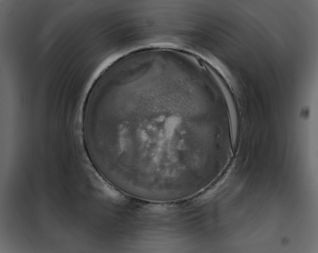 X0000102491240200808081321