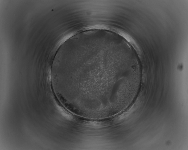 X0000102491241200808081321