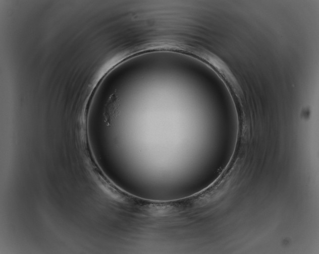 X0000102491242200808081321