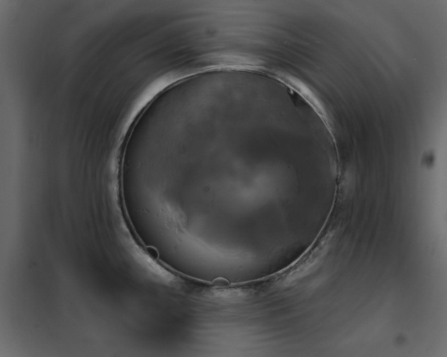 X0000102491243200808081321