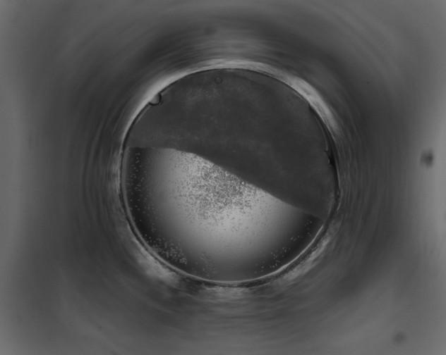 X0000102491244200808081321