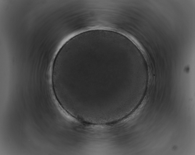 X0000102491246200808081321