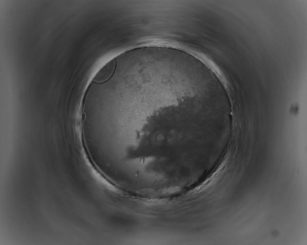 X0000102491247200808081321